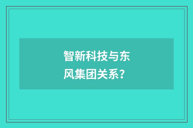 智新科技与东风集团关系?