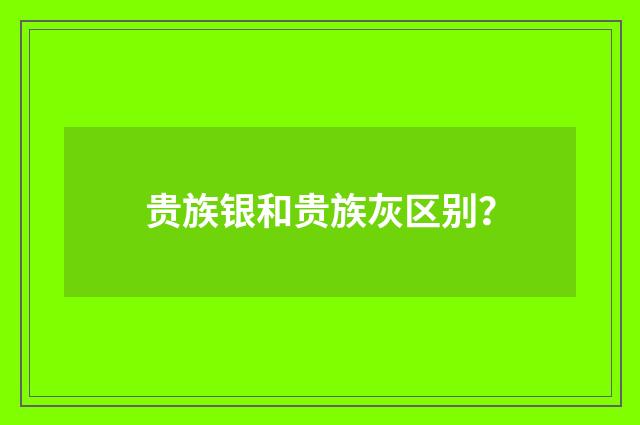 贵族银和贵族灰区别？