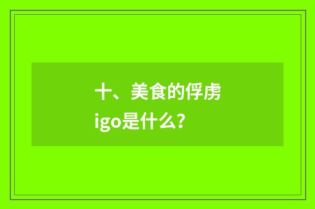 十、美食的俘虏igo是什么?