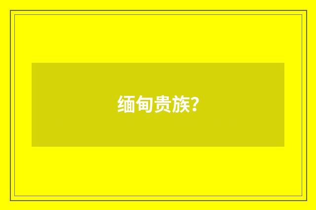缅甸贵族?