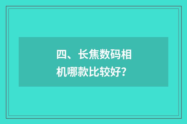四、长焦数码相机哪款比较好?