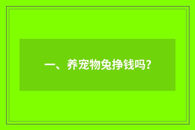 一、养宠物兔挣钱吗?
