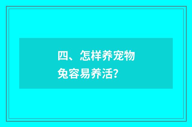四、怎样养宠物兔容易养活?