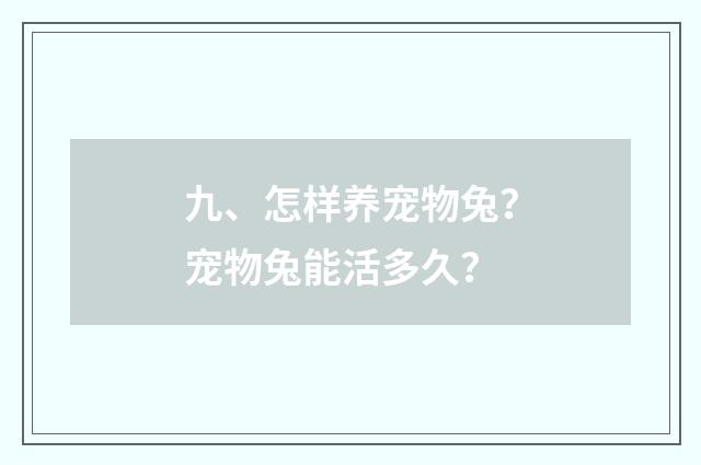 九、怎样养宠物兔?宠物兔能活多久?