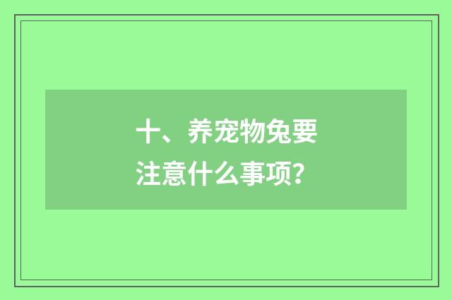 十、养宠物兔要注意什么事项?