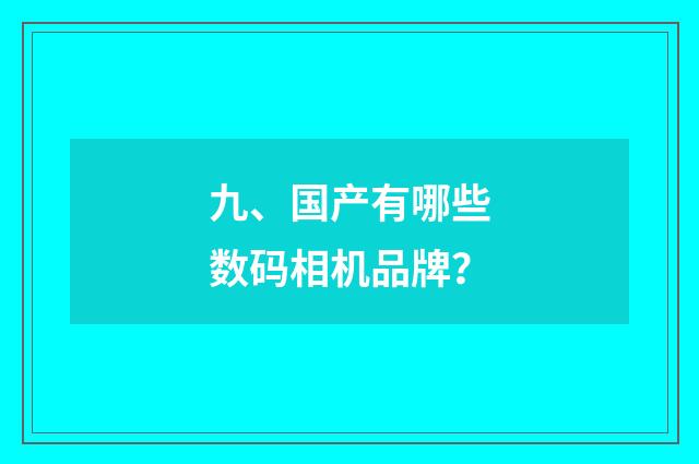 九、国产有哪些数码相机品牌?