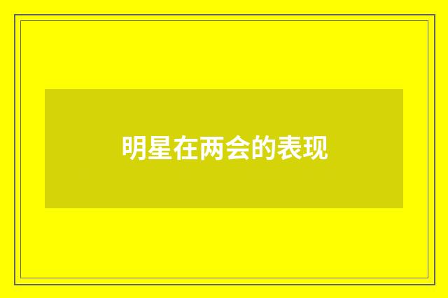 明星在两会的表现