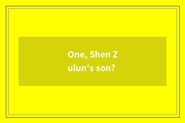 One, Shen Zulun's son?