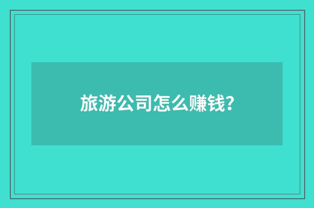 旅游公司怎么赚钱?