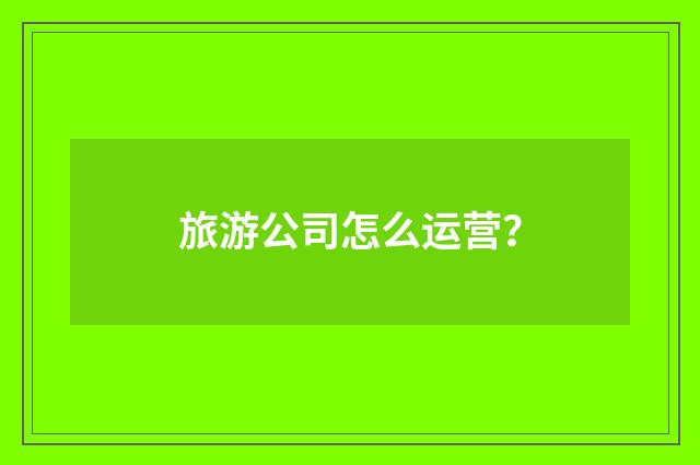 旅游公司怎么运营?