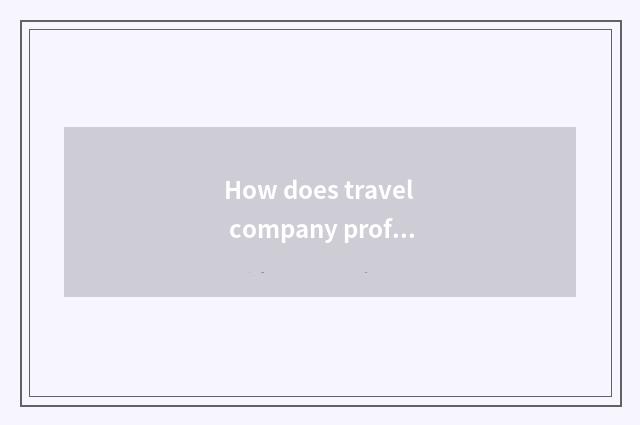 How does travel company profit?
