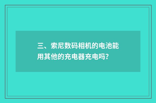三、索尼数码相机的电池能用其他的充电器充电吗?
