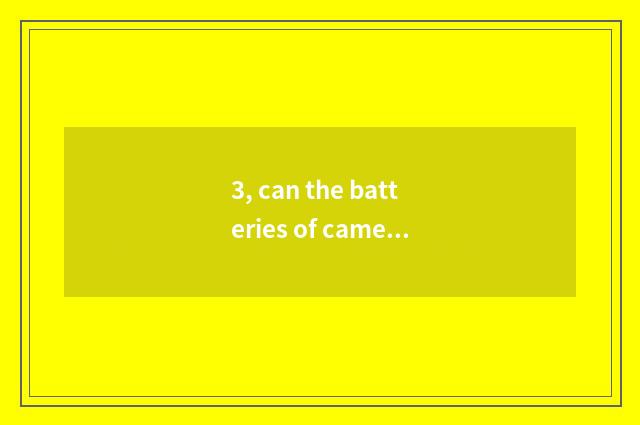 3, can the batteries of camera of Suo Ni number charge with other charger?