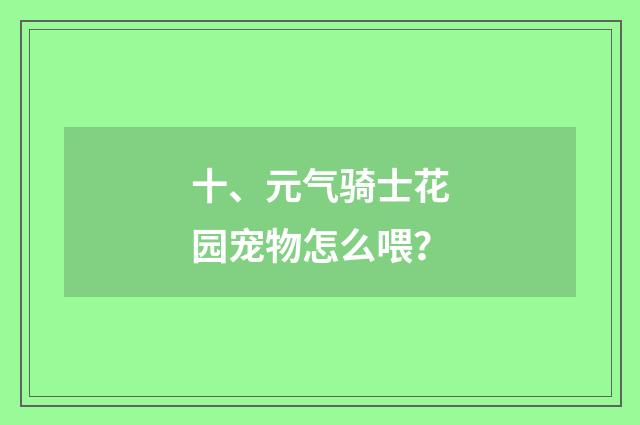 十、元气骑士花园宠物怎么喂？