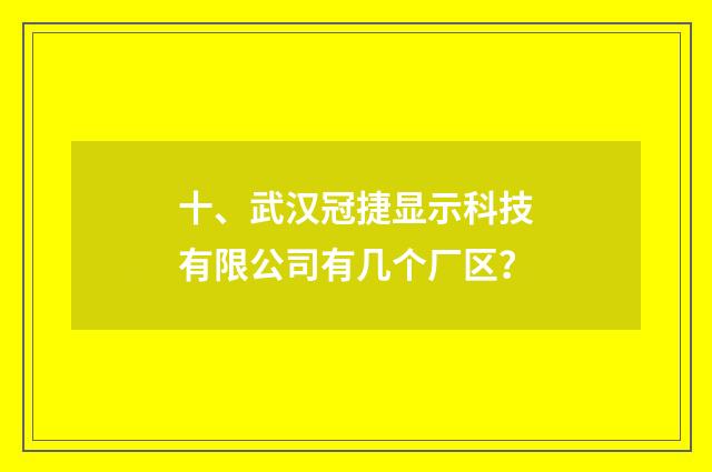 十、武汉冠捷显示科技有限公司有几个厂区?