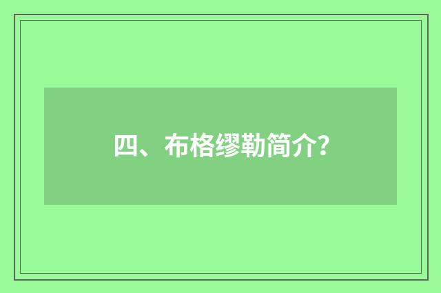 四、布格缪勒简介?