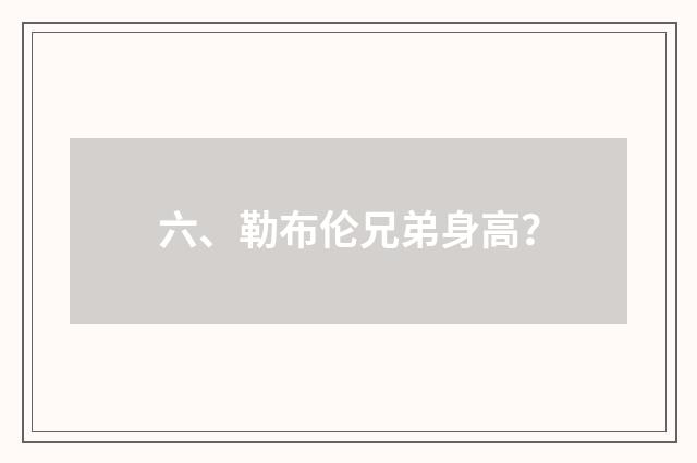 六、勒布伦兄弟身高？