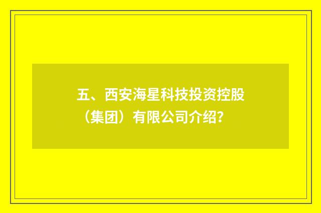 五、西安海星科技投资控股(集团)有限公司介绍?