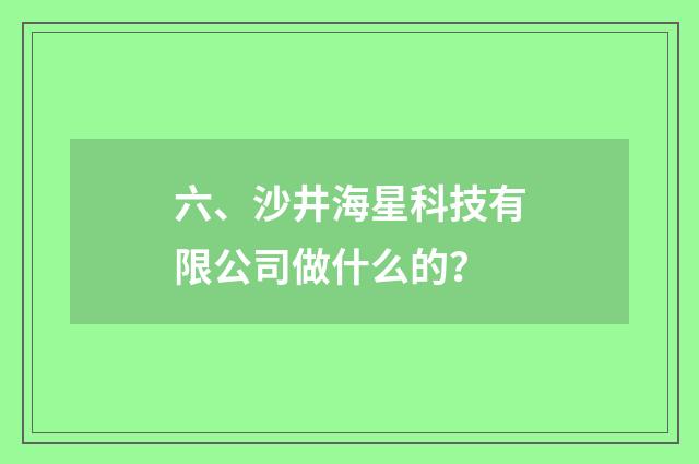 六、沙井海星科技有限公司做什么的?