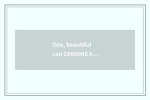 One, beautiful can SX600HS how? Beautiful can is SX600HS good?