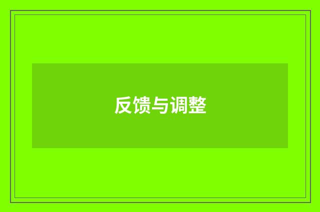 反馈与调整