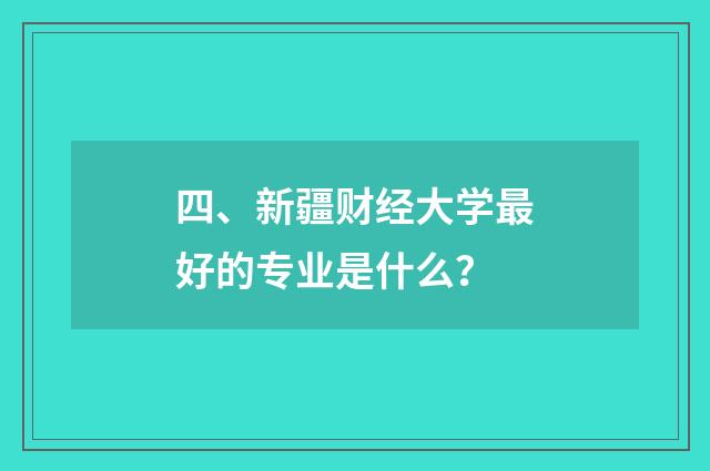 四、新疆财经大学最好的专业是什么?