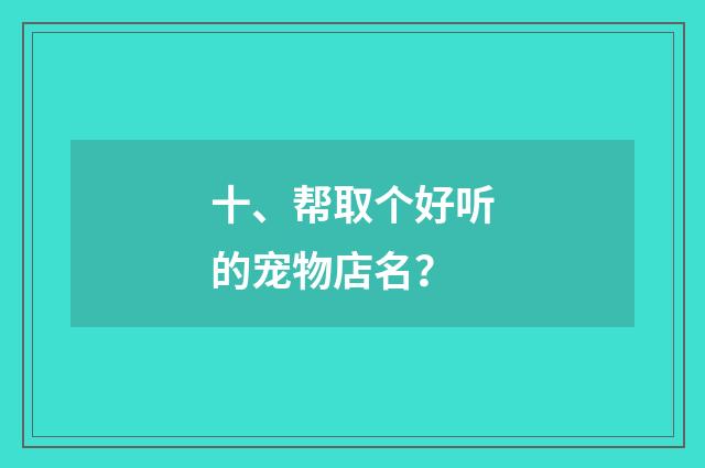 十、帮取个好听的宠物店名?