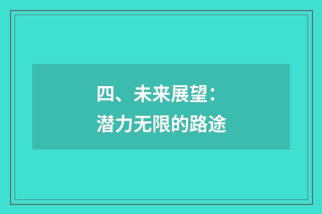 四、未来展望：潜力无限的路途