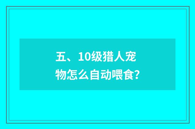 五、10级猎人宠物怎么自动喂食?