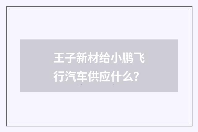 王子新材给小鹏飞行汽车供应什么？