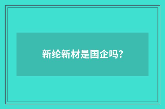 新纶新材是国企吗?