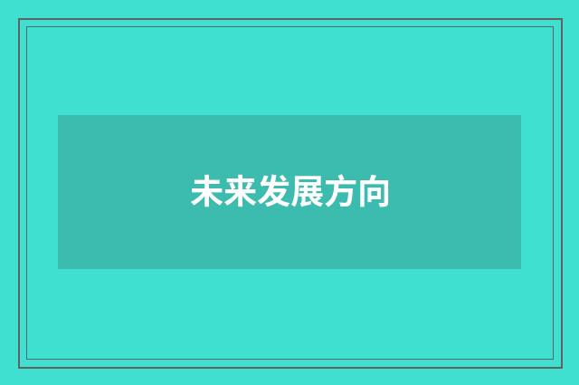 未来发展方向