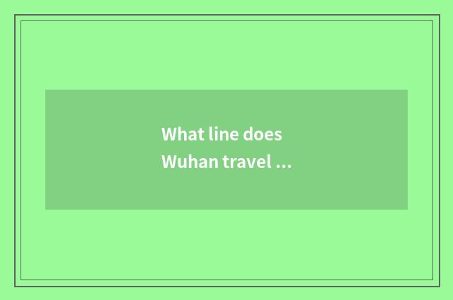 What line does Wuhan travel special train have?