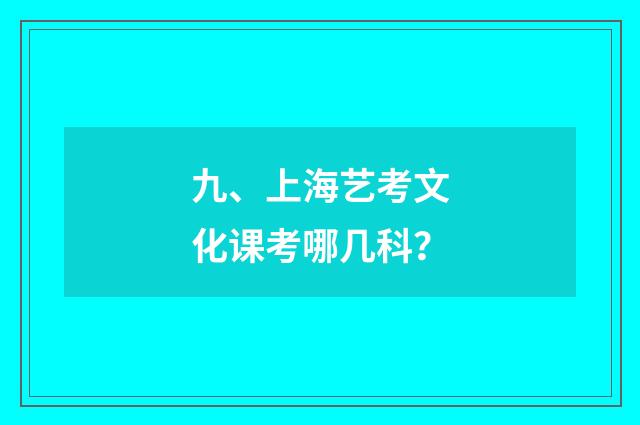 九、上海艺考文化课考哪几科？