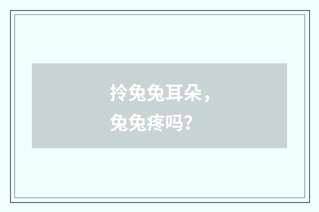 拎兔兔耳朵,兔兔疼吗?