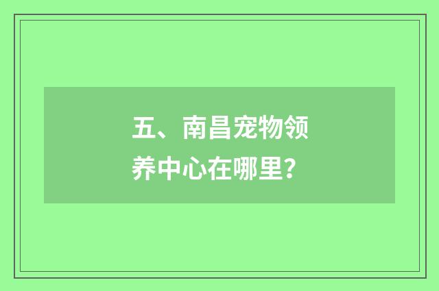 五、南昌宠物领养中心在哪里?
