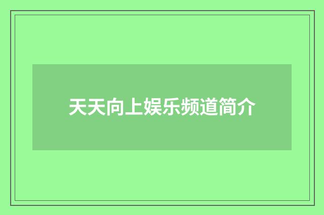 天天向上娱乐频道简介