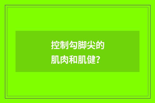 控制勾脚尖的肌肉和肌健?