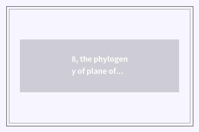 8, the phylogeny of plane of Suo Ni sport?