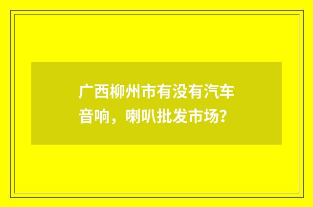 广西柳州市有没有汽车音响,喇叭批发市场?