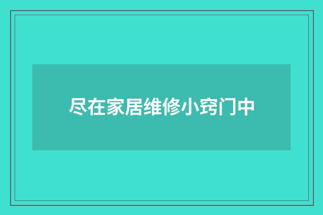 尽在家居维修小窍门中