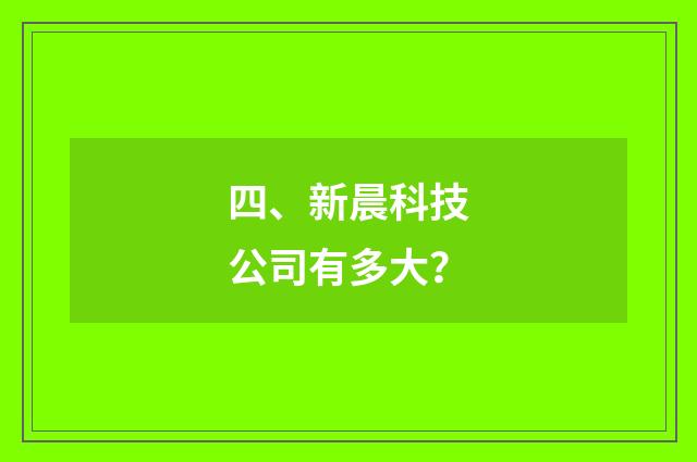 四、新晨科技公司有多大？