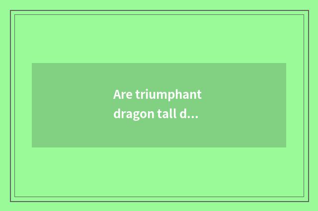 Are triumphant dragon tall division and triumphant dragon share a company?