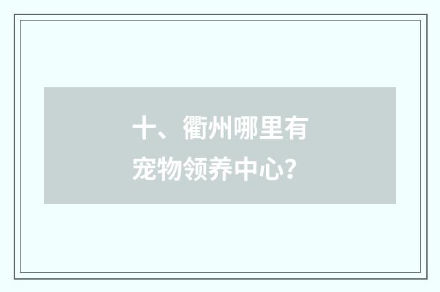 十、衢州哪里有宠物领养中心?