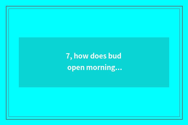 7, how does bud open morning island newly?