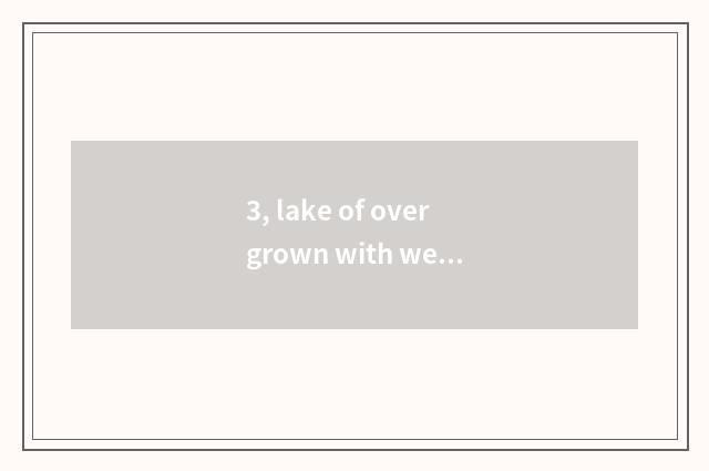 3, lake of overgrown with weeds is technical school good?