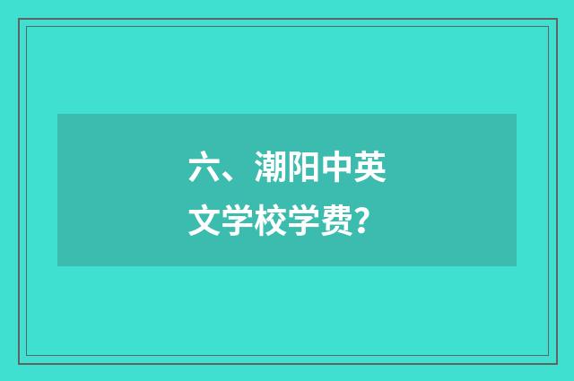 六、潮阳中英文学校学费？