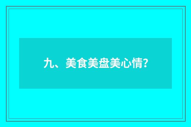 九、美食美盘美心情?