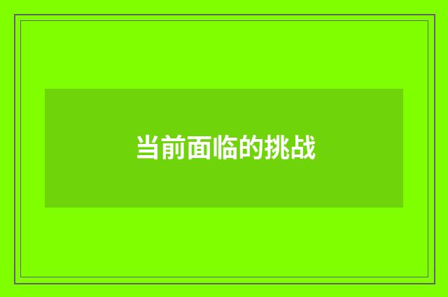 当前面临的挑战