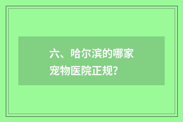 六、哈尔滨的哪家宠物医院正规?